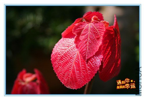 ��Ƭ 018_����.jpg