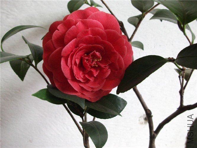 ��Ƭ 031.jpg
