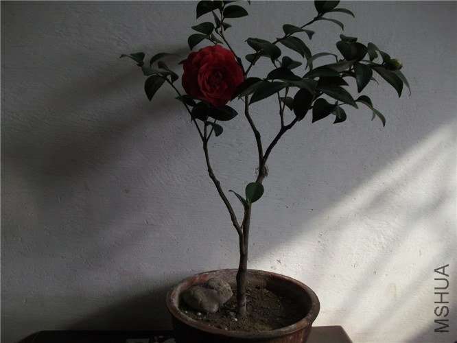 ��Ƭ 030.jpg