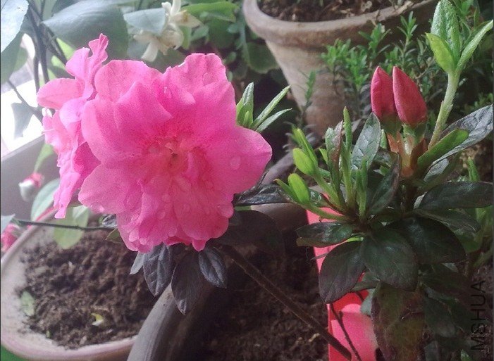 ǰ�Ŷž����ڿ������ĸ���ҿ����ֶ�~