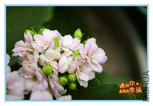 ��Ƭ 122_����.jpg