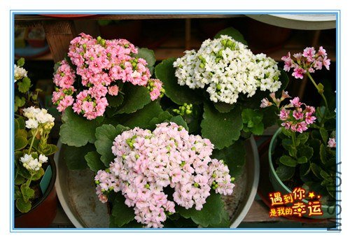 ��Ƭ 112_����.jpg