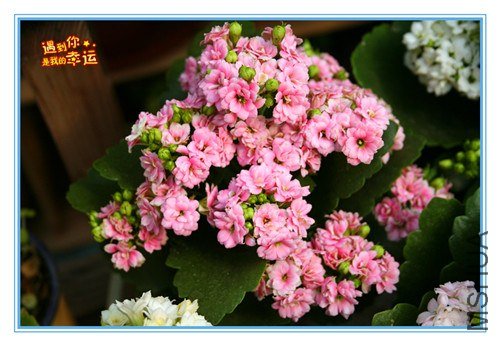 ��Ƭ 116_����.jpg