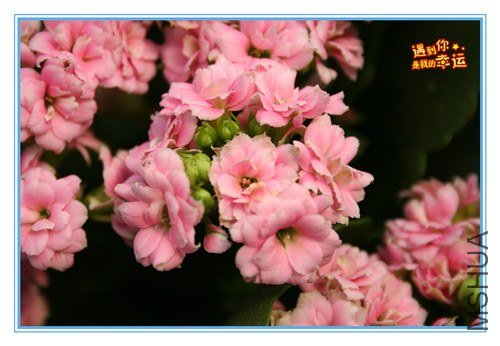 ��Ƭ 118_����.jpg