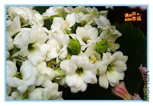 ��Ƭ 120_����.jpg