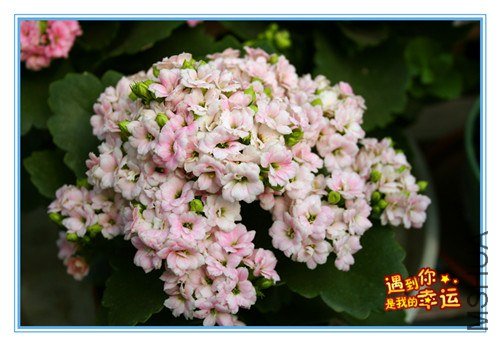 ��Ƭ 121_����.jpg