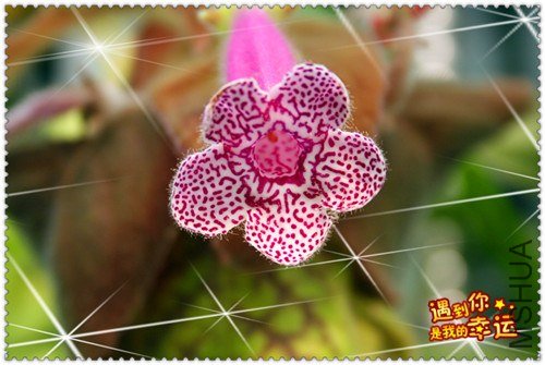 ���� ��Ƭ 125_����.jpg