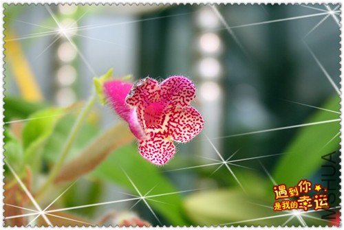 ���� ��Ƭ 127_����.jpg