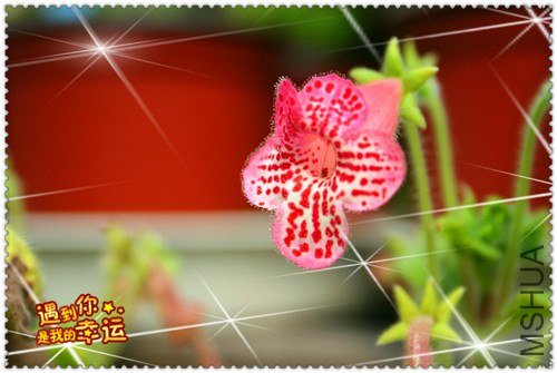 ���� ��Ƭ 123_����.jpg