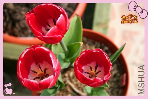 ��Ƭ 148_����.jpg