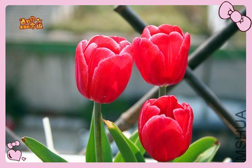 ��Ƭ 147_����.jpg