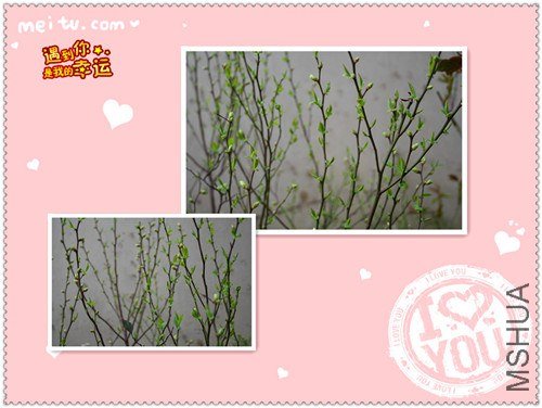 ��Ƭ 083_����.jpg