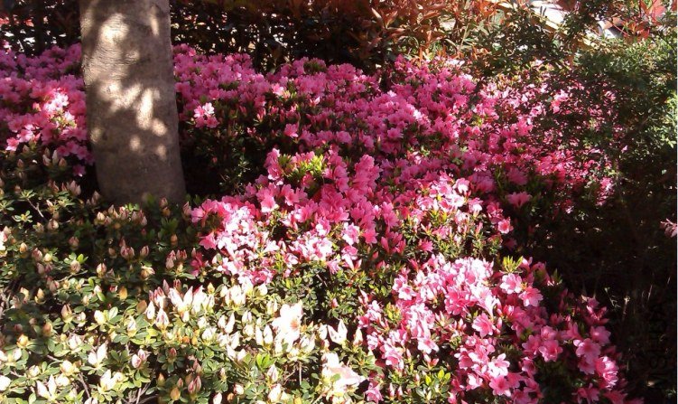 QQ��ͼ20130326170021.jpg