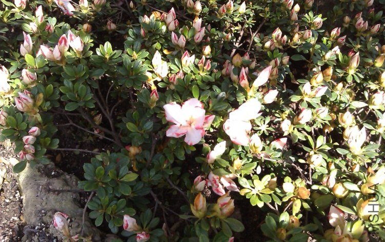 QQ��ͼ20130326170037.jpg