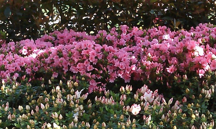 QQ��ͼ20130326170106.jpg