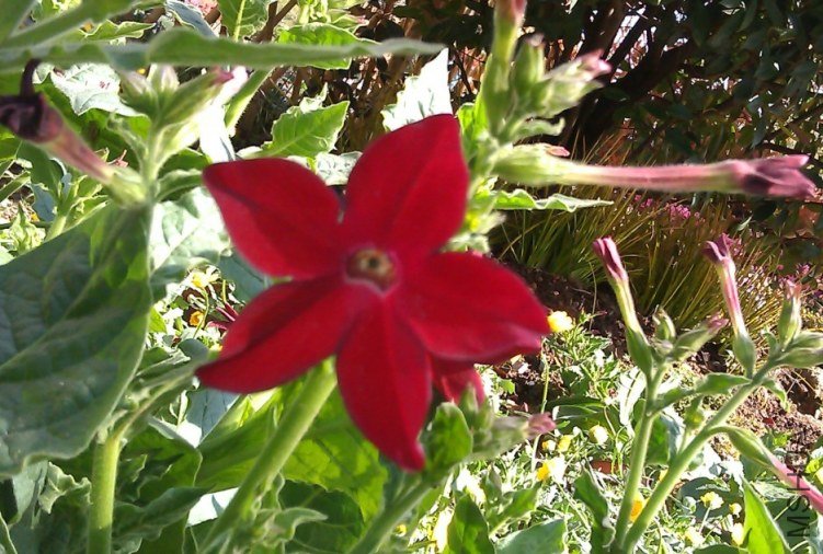 QQ��ͼ20130326165805.jpg