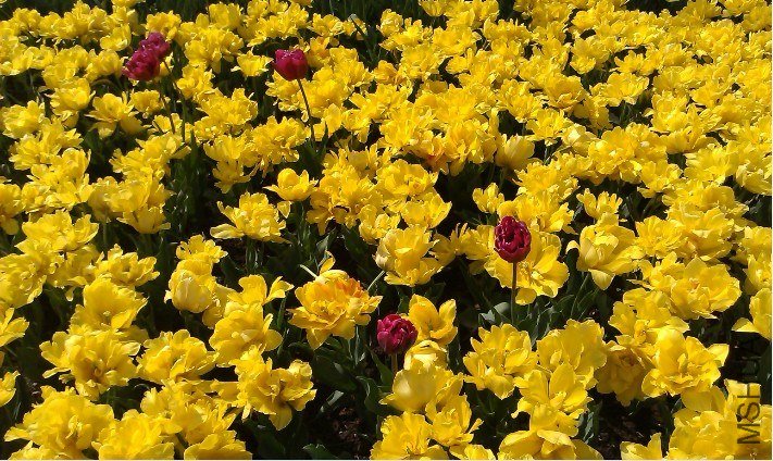 QQ��ͼ20130326170557.jpg