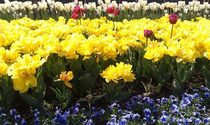 QQ��ͼ20130326170607.jpg