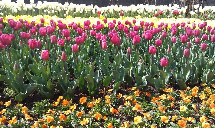 QQ��ͼ20130326170617.jpg