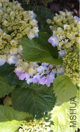 QQ��ͼ20130326170843.jpg