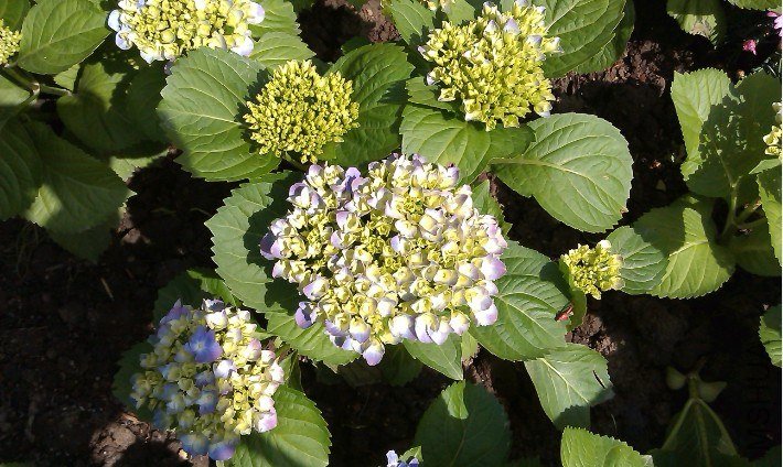 QQ��ͼ20130326170851.jpg