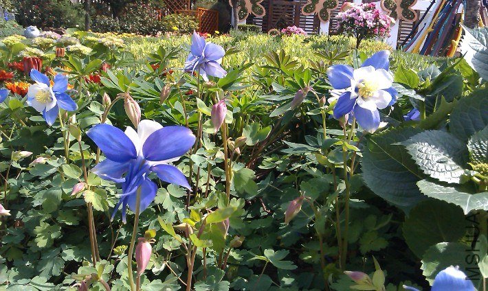 QQ��ͼ20130326171008.jpg