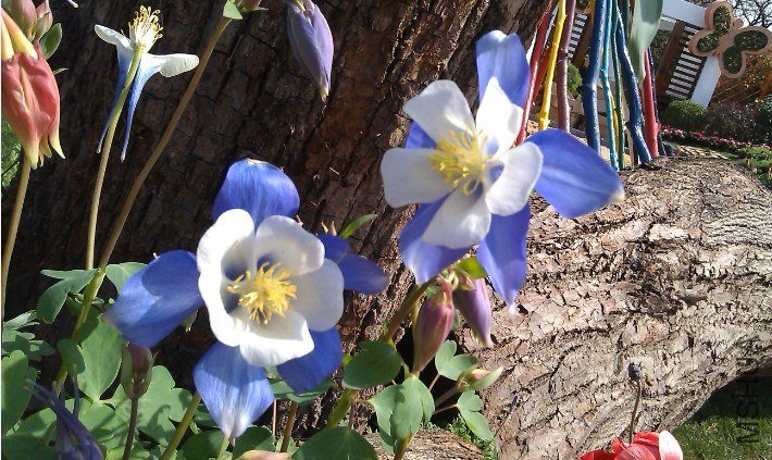 QQ��ͼ20130326171055.jpg