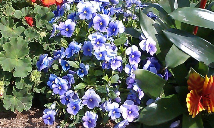 QQ��ͼ20130326171238.jpg