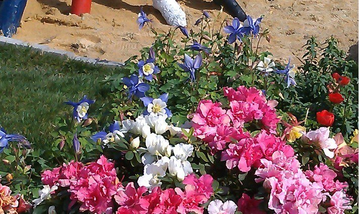 QQ��ͼ20130326171309.jpg