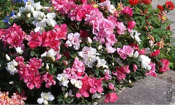 QQ��ͼ20130326171551.jpg