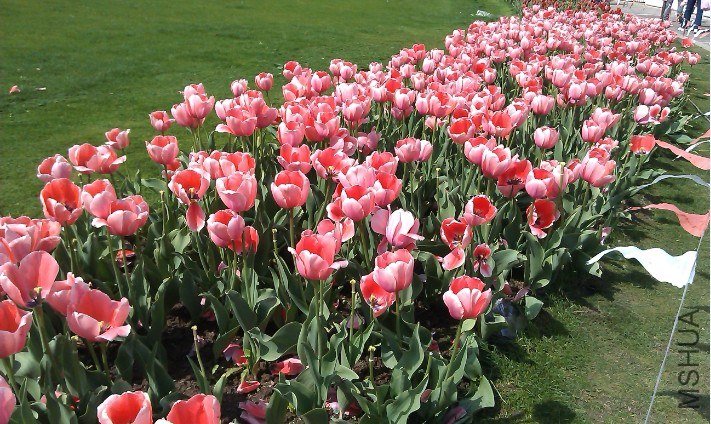 QQ��ͼ20130326171600.jpg