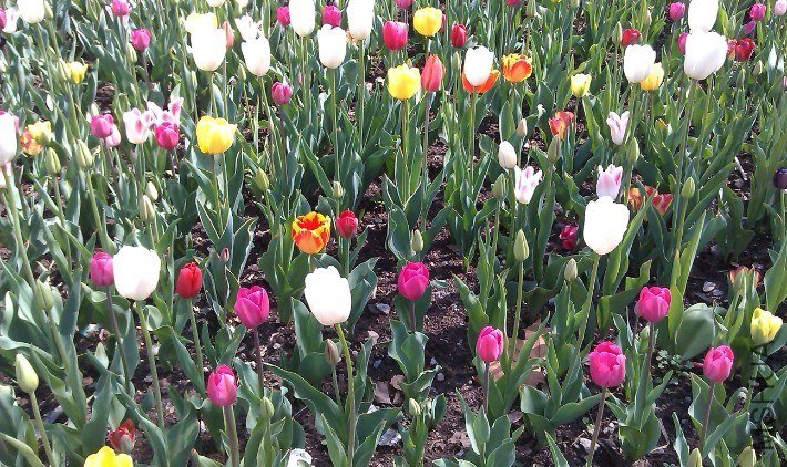 QQ��ͼ20130326172044.jpg