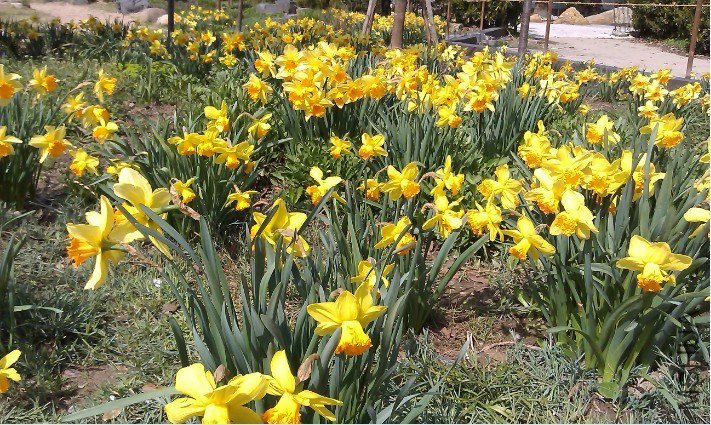QQ��ͼ20130326172353.jpg