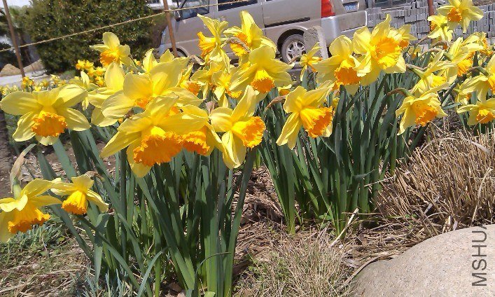QQ��ͼ20130326172411.jpg