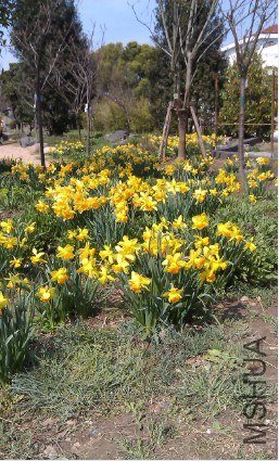 QQ��ͼ20130326172421.jpg