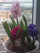 20130310547.jpg