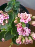 20130317549.jpg