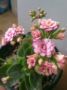 20130317551.jpg