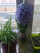 20130317552.jpg