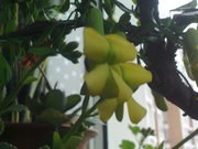20130326556.jpg