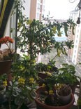 20130326557.jpg