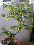 20130326558.jpg