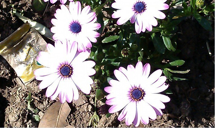QQ��ͼ20130326183219.jpg
