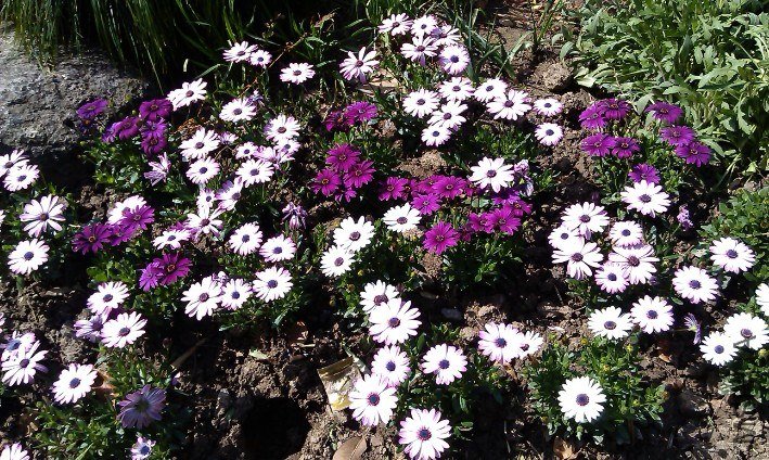 QQ��ͼ20130326183228.jpg