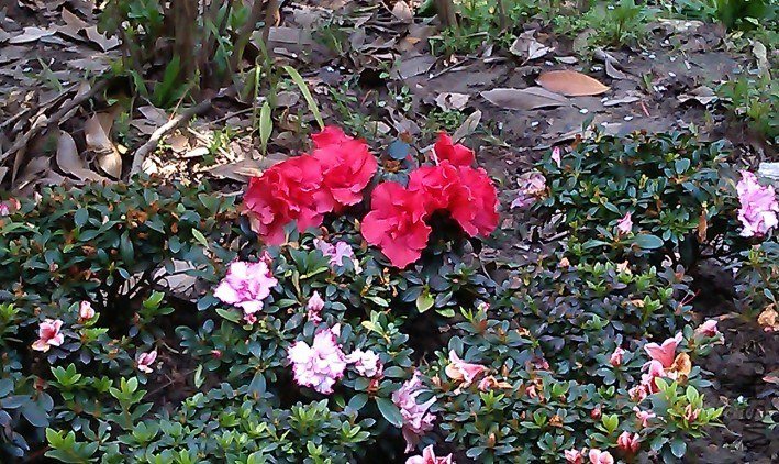 QQ��ͼ20130326183257.jpg