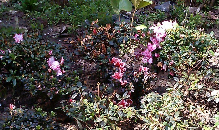QQ��ͼ20130326183310.jpg