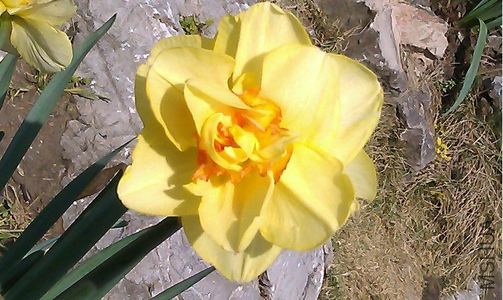 QQ��ͼ20130326183412.jpg