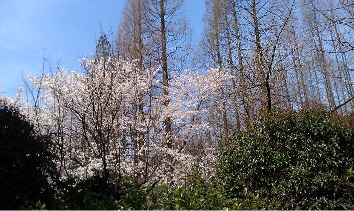 QQ��ͼ20130326183243.jpg