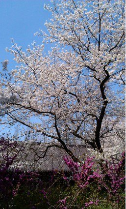 QQ��ͼ20130326183331.jpg