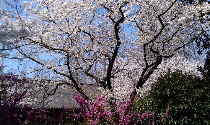 QQ��ͼ20130326183341.jpg